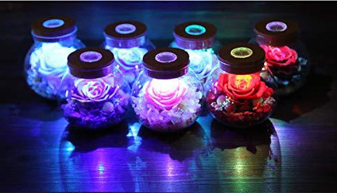Real Rose in Glass